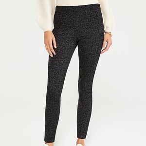 Ann Taylor NWOT Animal Leopard Print Seamed Pants